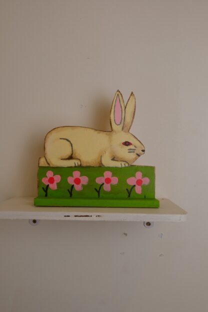 Little rabbit